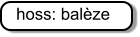 hoss: balèze