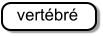 vertébré