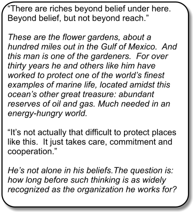 There are riches beyond belief under here.  Beyond belief, but not beyond reach.  These are the flower gardens, about a hundred miles out in the Gulf of Mexico.  And this man is one of the gardeners.  For over thirty years he and others like him have worked to protect one of the worlds finest examples of marine life, located amidst this oceans other great treasure: abundant reserves of oil and gas. Much needed in an energy-hungry world.    Its not actually that difficult to protect places like this.  It just takes care, commitment and cooperation.    Hes not alone in his beliefs.The question is: how long before such thinking is as widely recognized as the organization he works for?